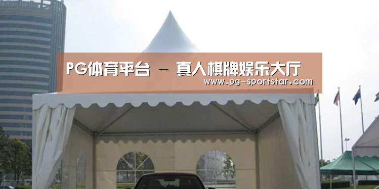 案例标题八