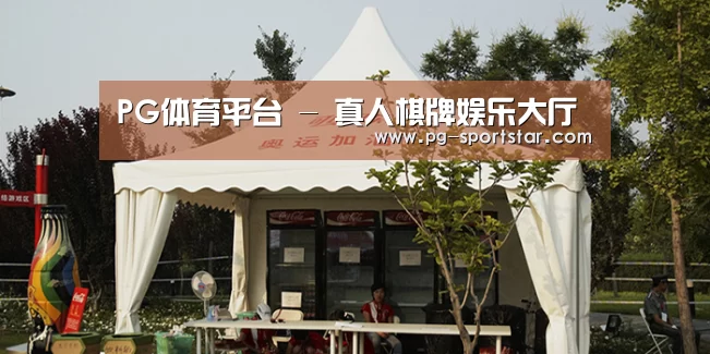 案例标题五