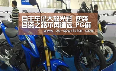 自主车企大放光彩 逆袭合资之路不再遥远_PG麻将(图1) PG电子