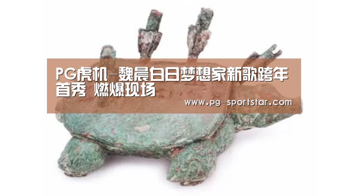 PG虎机-魏晨白日梦想家新歌跨年首秀 燃爆现场(图3) PG棋牌
