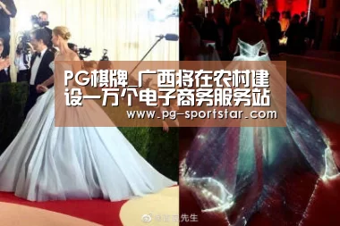 PG棋牌_广西将在农村建设一万个电子商务服务站(图1) PG电子