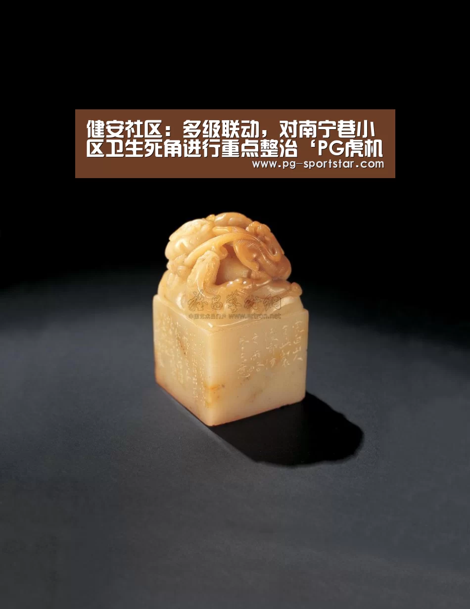 健安社区:多级联动,对南宁巷小区卫生死角进行重点整治‘PG虎机’(图1) PG棋牌