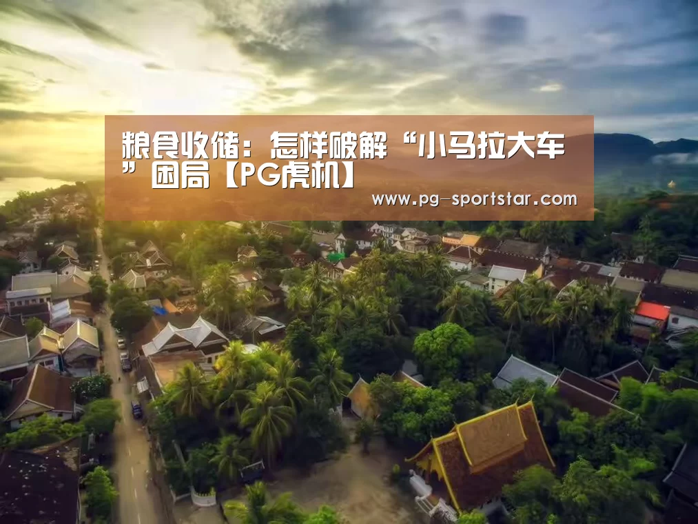 粮食收储:怎样破解“小马拉大车”困局【PG虎机】(图2) PG麻将