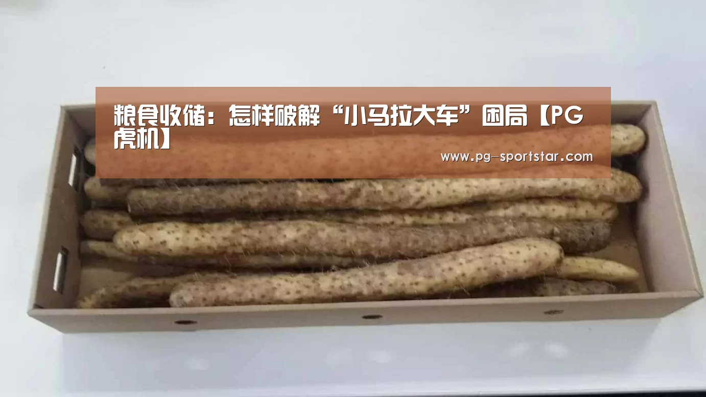 粮食收储:怎样破解“小马拉大车”困局【PG虎机】(图3) PG虎机