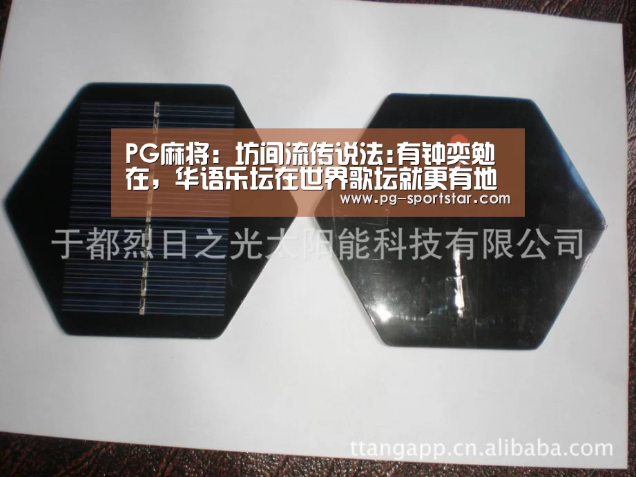 PG麻将:坊间流传说法:有钟奕勉在,华语乐坛在世界歌坛就更有地位(图2) PG棋牌